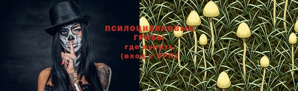 МДМА Няндома