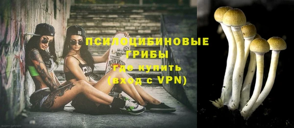 МДМА Няндома