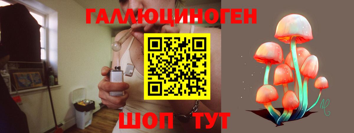 Советск  закладки  Вход с VPN  Галлюциногенные грибы мухоморы  Псилоцибиновые грибы мицелий 